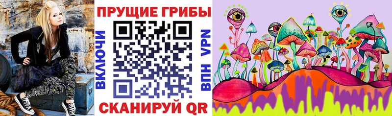 Галлюциногенные грибы MAGIC MUSHROOMS  Урень 